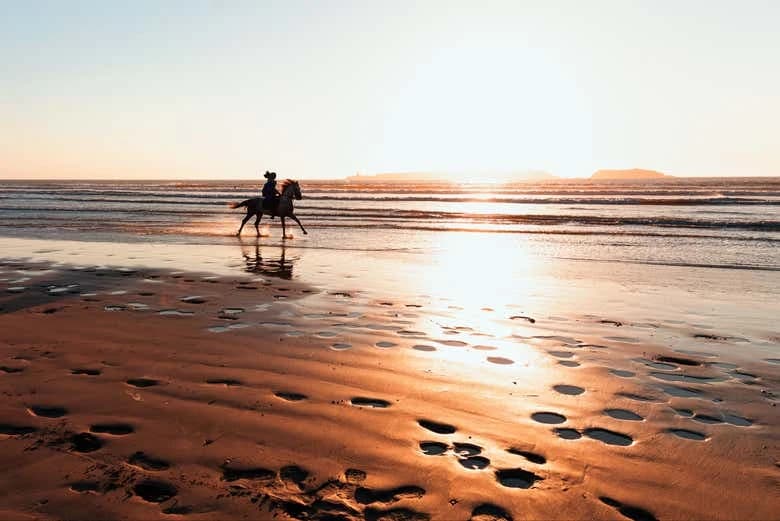 Horseback Ride in Essaouira - Image 6