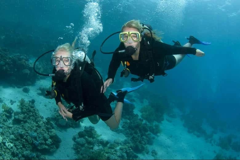 Dakhla Beginners Scuba Diving - Image 4