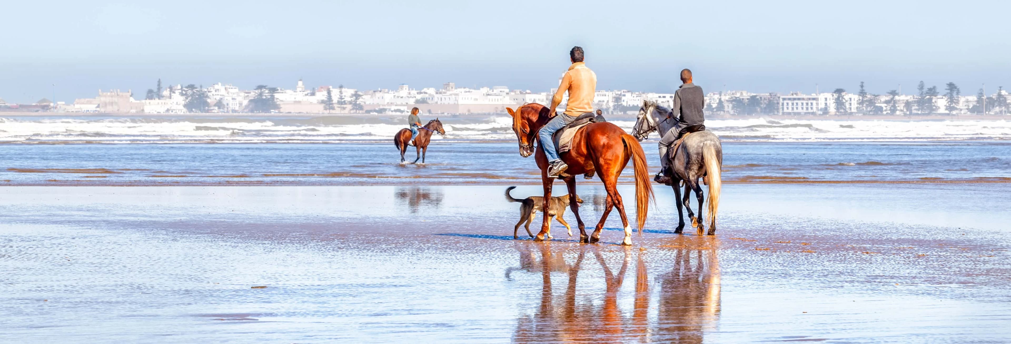 Horseback Ride in Essaouira