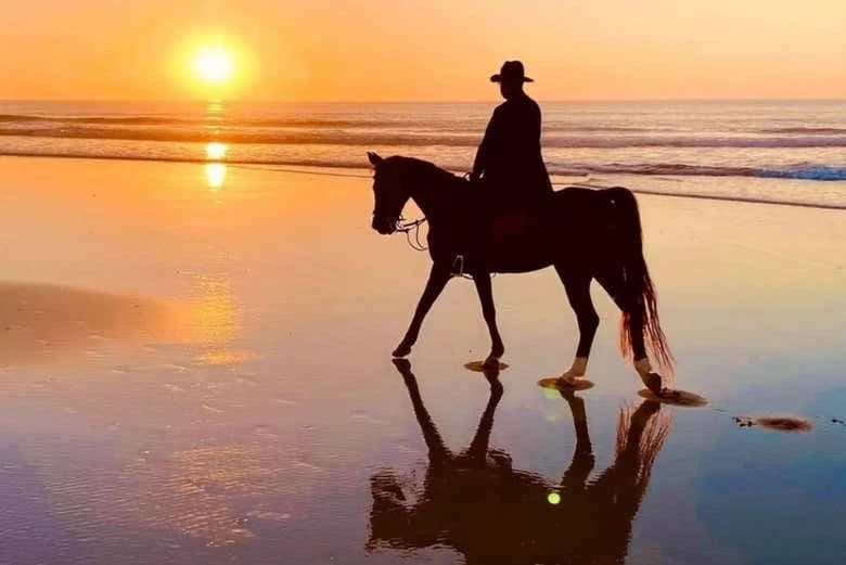 Horseback Ride in Essaouira - Image 4