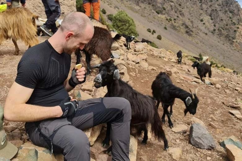 Atlas Mountains 2-Day Hike - Image 1