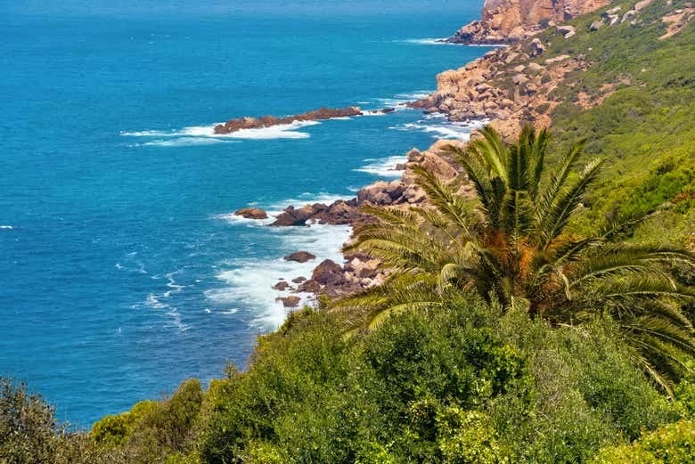 Tangier in a Day: Complete Guided Tour - Image 5