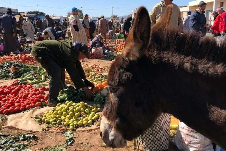 Amazigh Market Tour + Argan Oil Cooperative Visit - Image 2