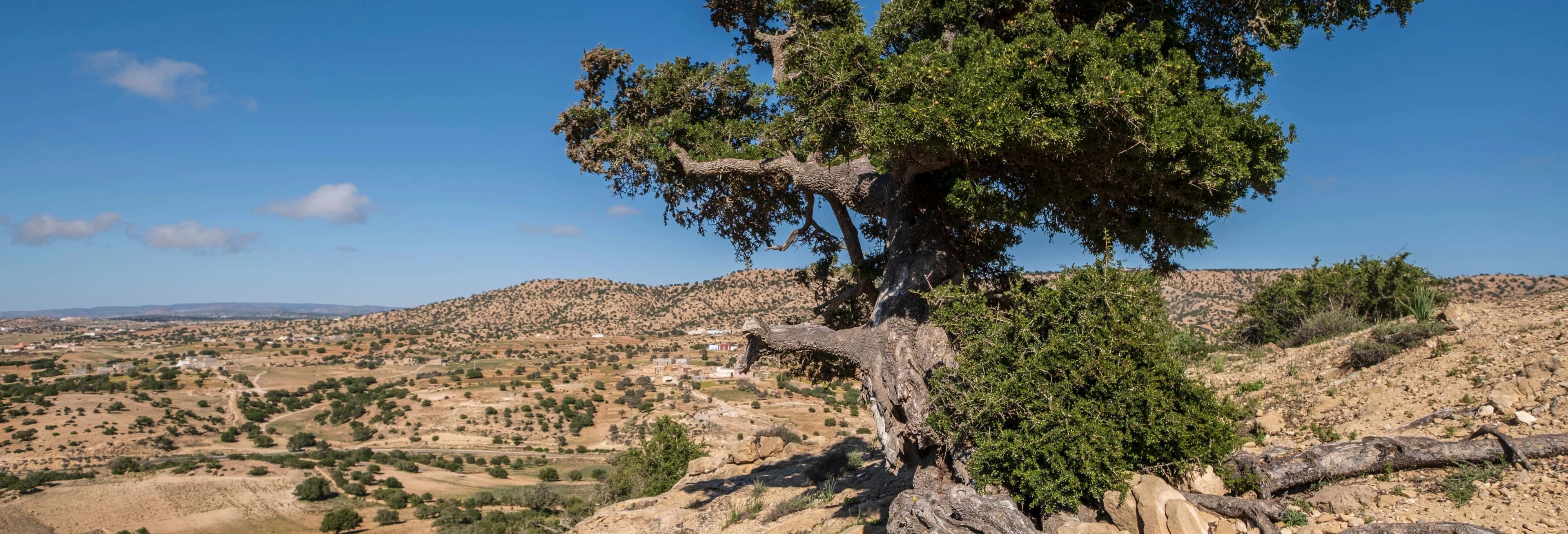 Agadir Electric Kickbike Tour