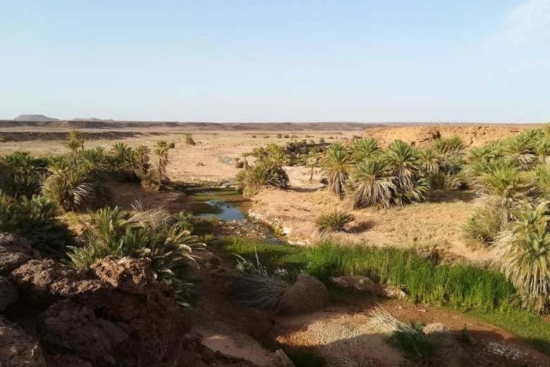 Desert & Erfoud Fossil Quarry Offroading Tour - Image 8