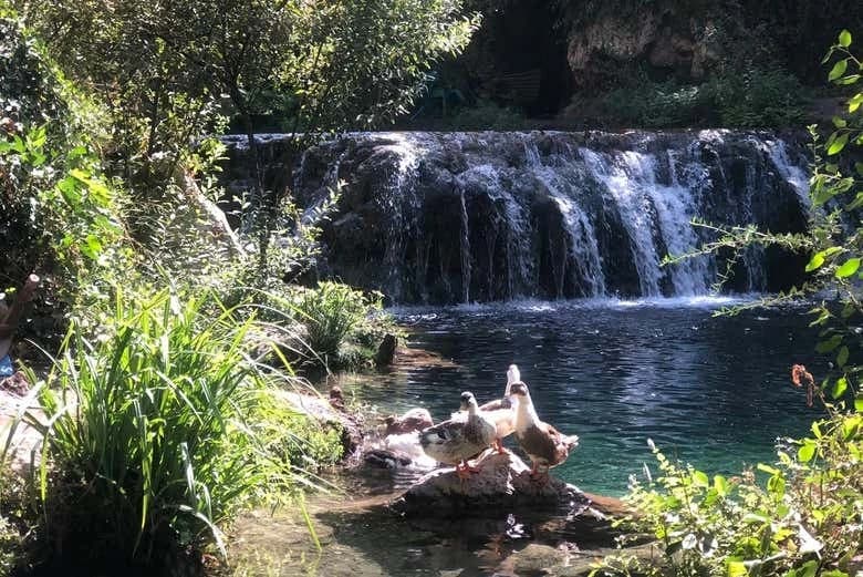 Chefchaouen & Akchour National Park Waterfalls Day Trip - Image 4