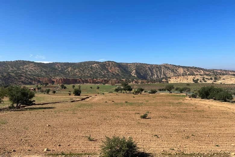 Tiznit Tour + Desert Safari - Image 5