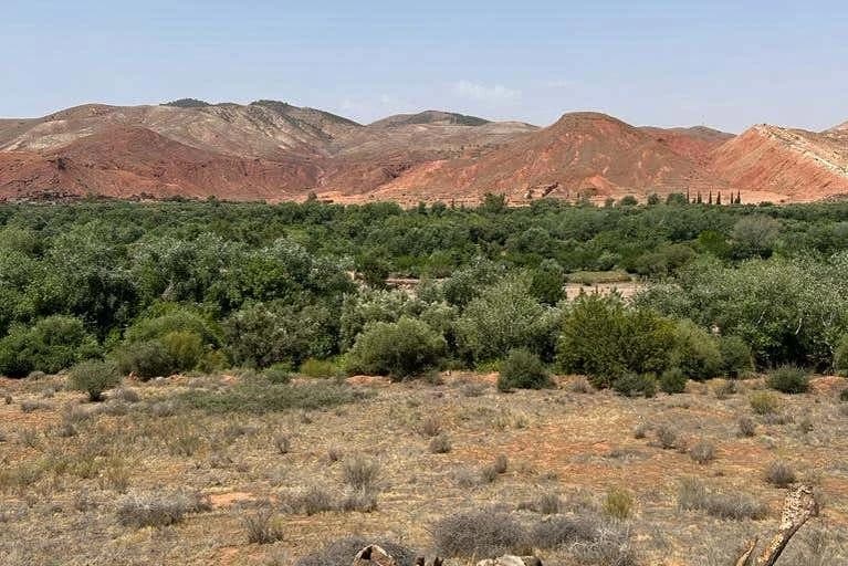 Tour de los Tres Valles y las Montañas del Atlas + Almuerzo - Image 8