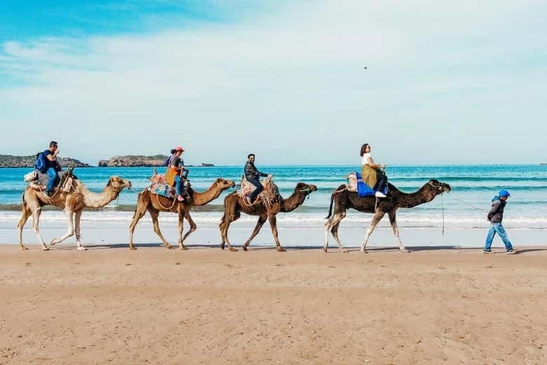 Quad Tour + Camel Ride - Image 2