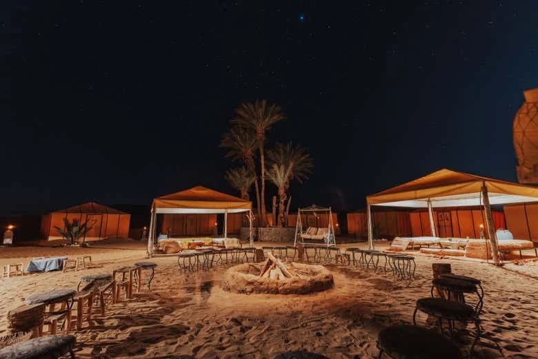 Camel Ride and Night in the Desert - Image 5