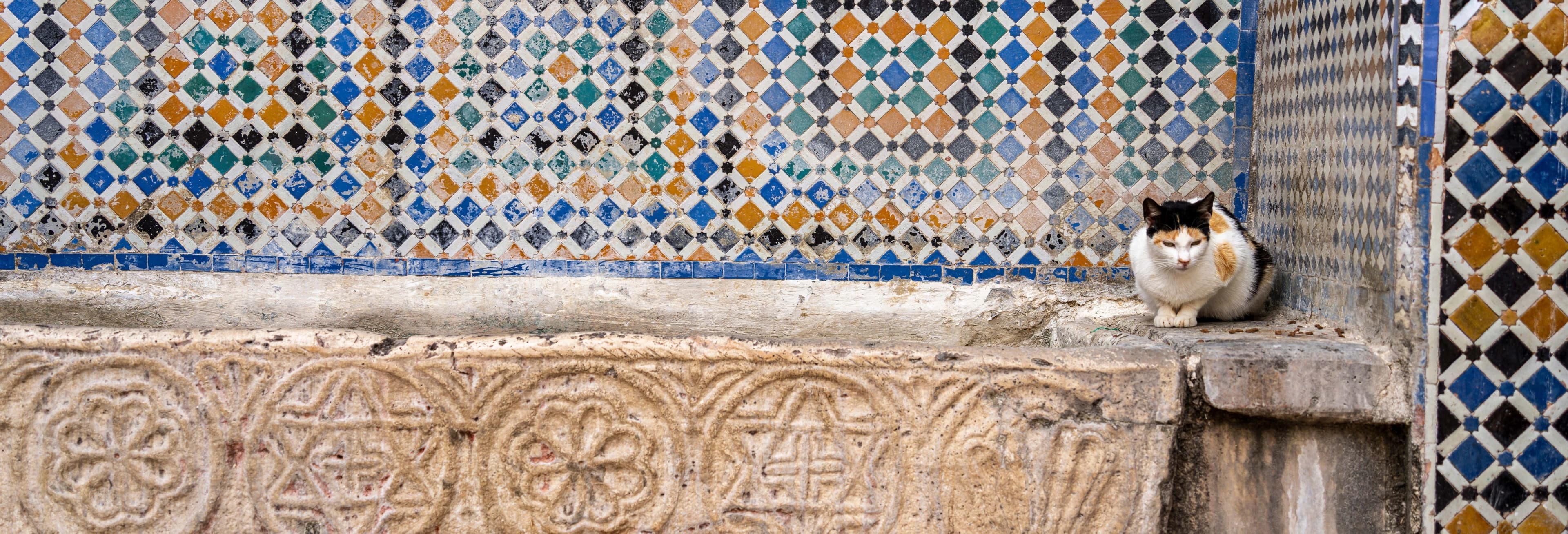 Tétouan Guided Tour