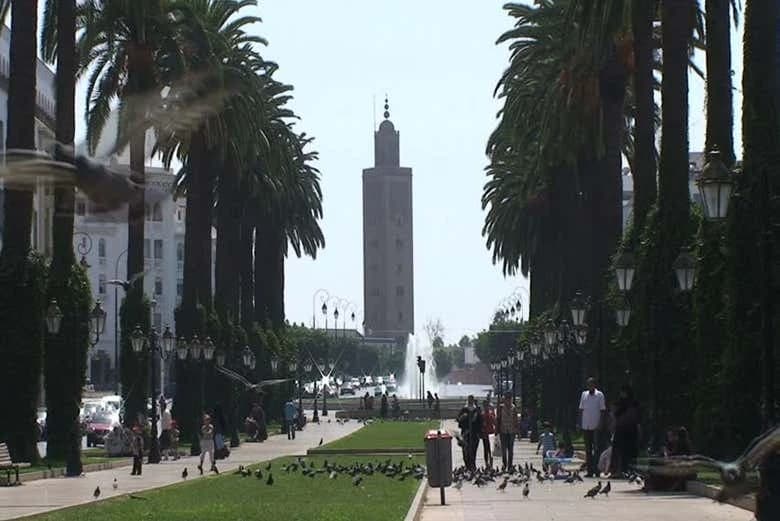 Casablanca and Rabat Private Tour - Image 5