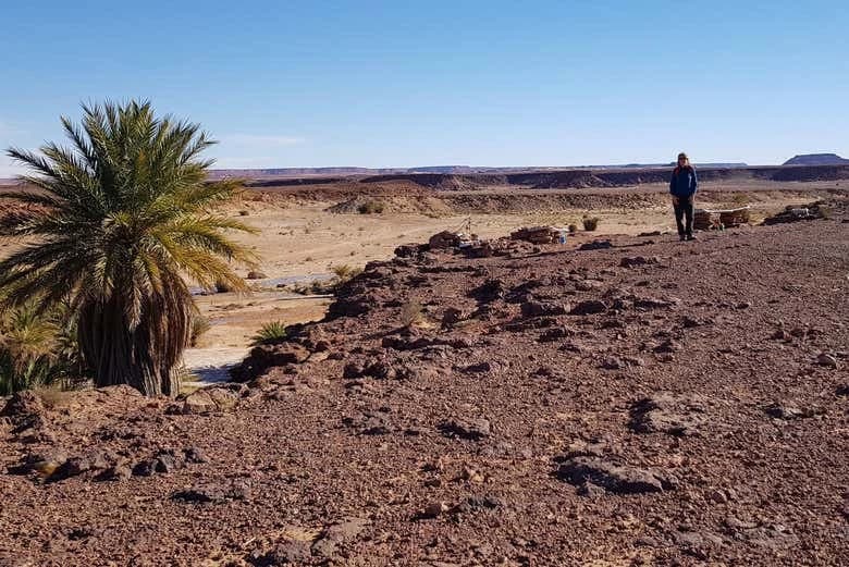 Desert & Erfoud Fossil Quarry Offroading Tour - Image 6