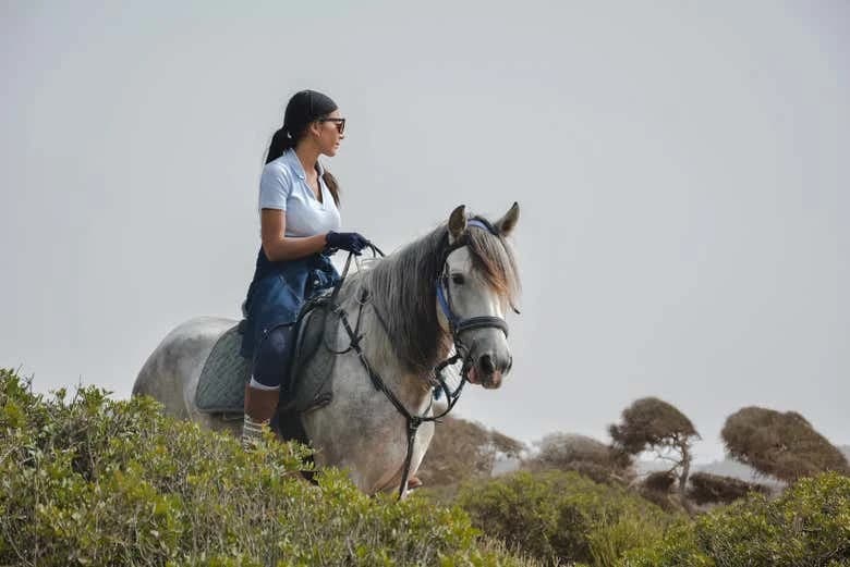 Horseback Ride in Essaouira - Image 5