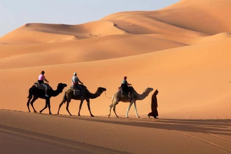 Merzouga to Marrakech 3 Day Private Tour - Image 3