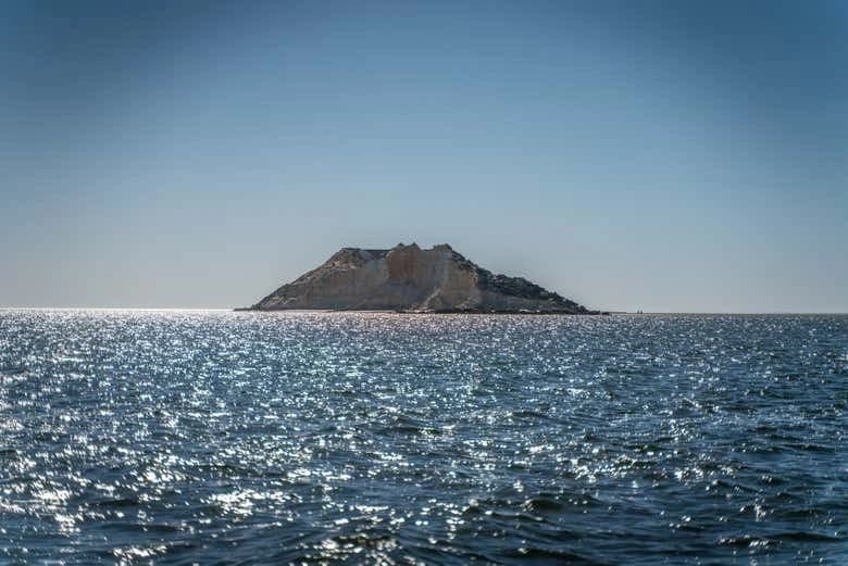 Dakhla Catamaran Trip - Image 4