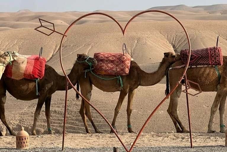 Night in the Afagay Desert - Image 20