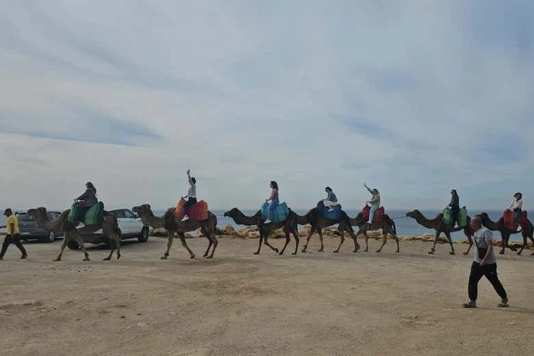 Moroccan Coast Day Trip: Cape Spartel, Hercules Caves & Asilah - Image 7