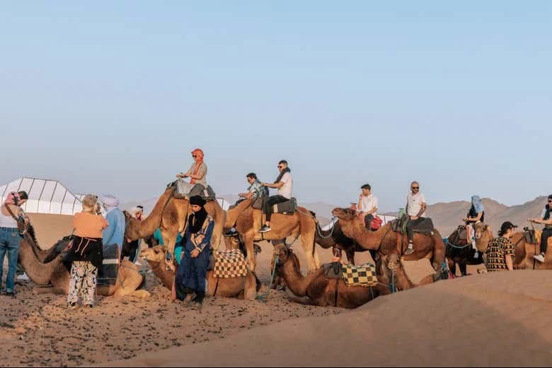Camel Ride and Night in the Desert - Image 3