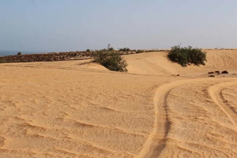 Day Trip to Tiznit + Desert Safari - Image 3