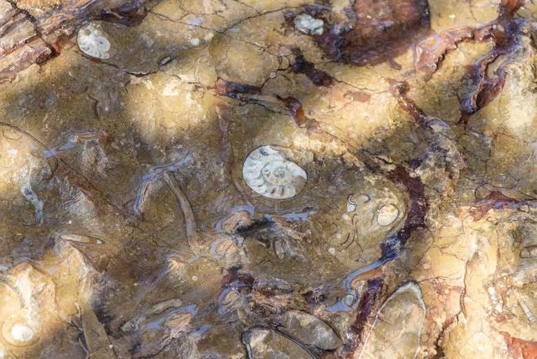 Desert & Erfoud Fossil Quarry Offroading Tour - Image 5