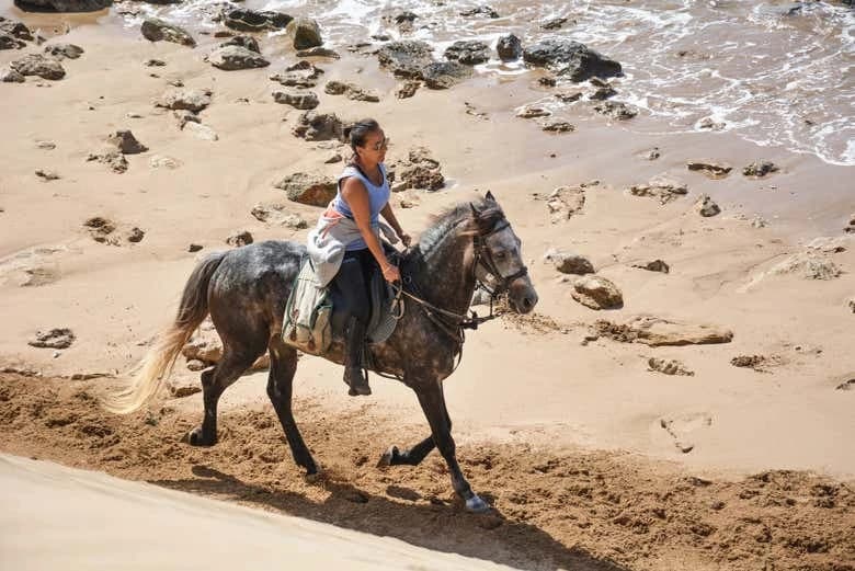 Horseback Ride in Essaouira - Image 3