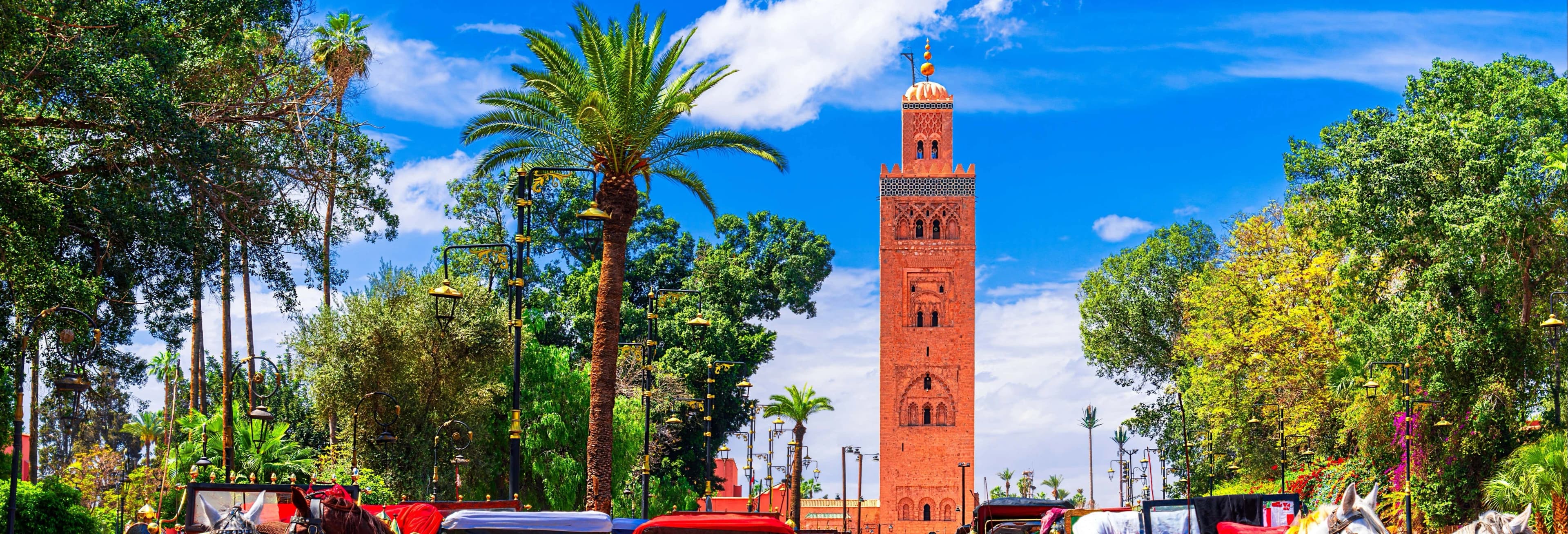 Marrakech Day Trip