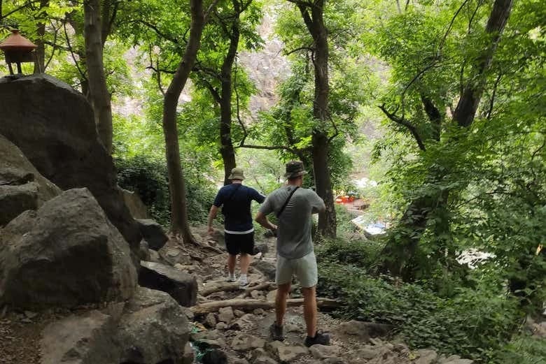 Tour de los Tres Valles y las Montañas del Atlas + Almuerzo - Image 3